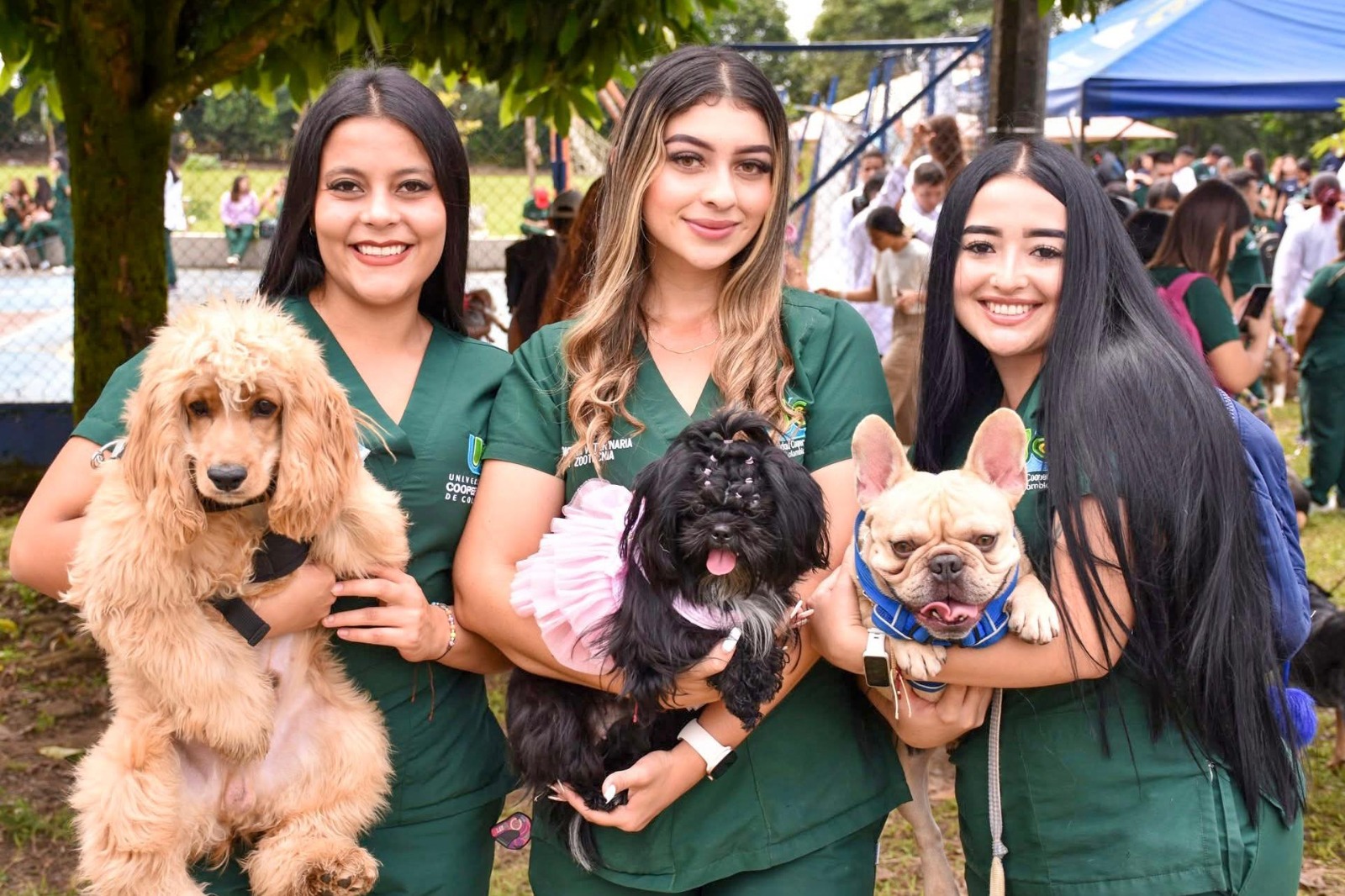 Medicina Veterinaria y Zootecnia de la Universidad Cooperativa de Colombia campus Ibagué obtiene la Acreditación en Alta Calidad